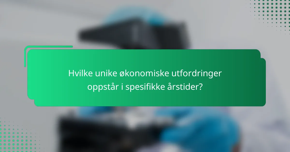 Hvilke unike økonomiske utfordringer oppstår i spesifikke årstider?